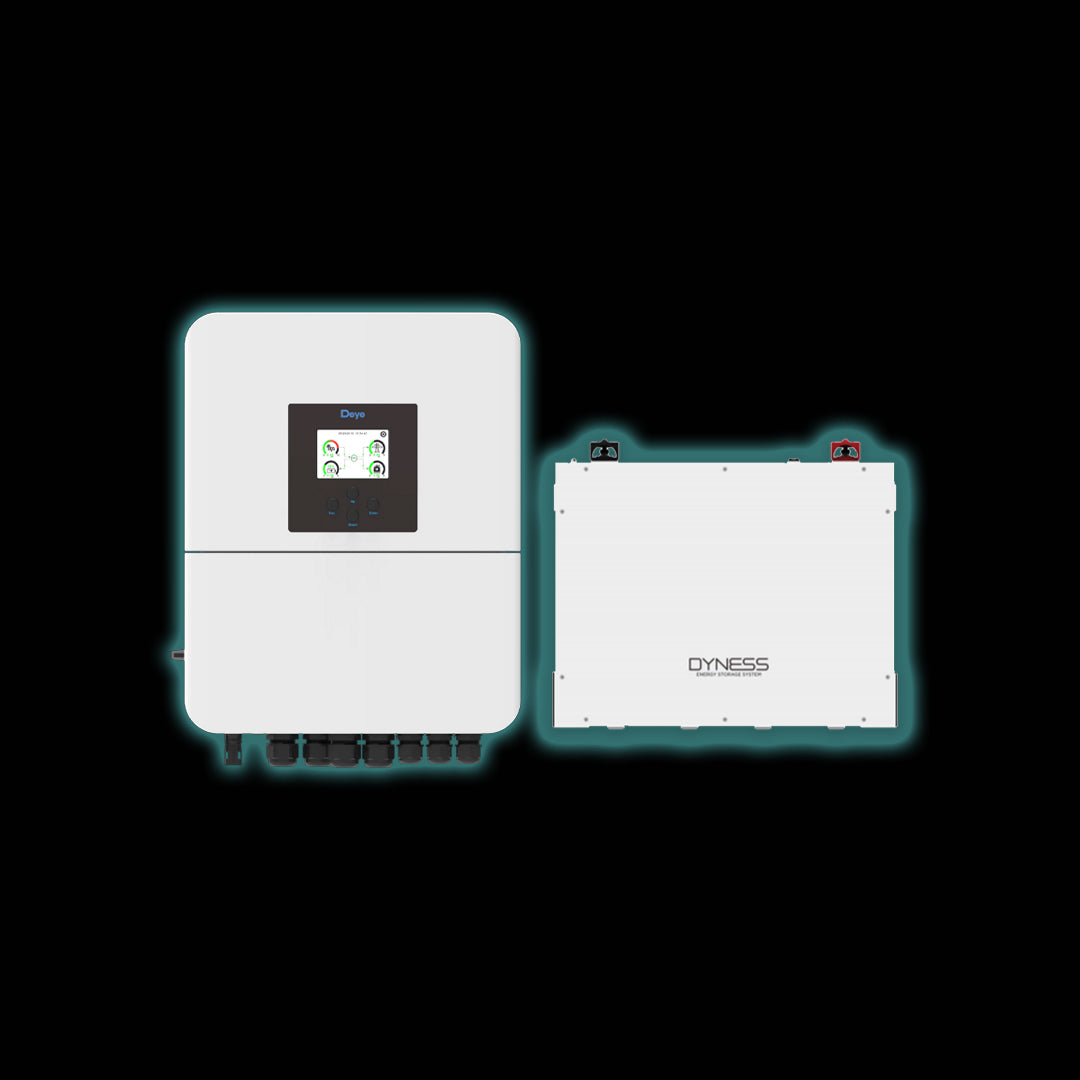 5kW Deye Inverter & Dyness Battery Combo
