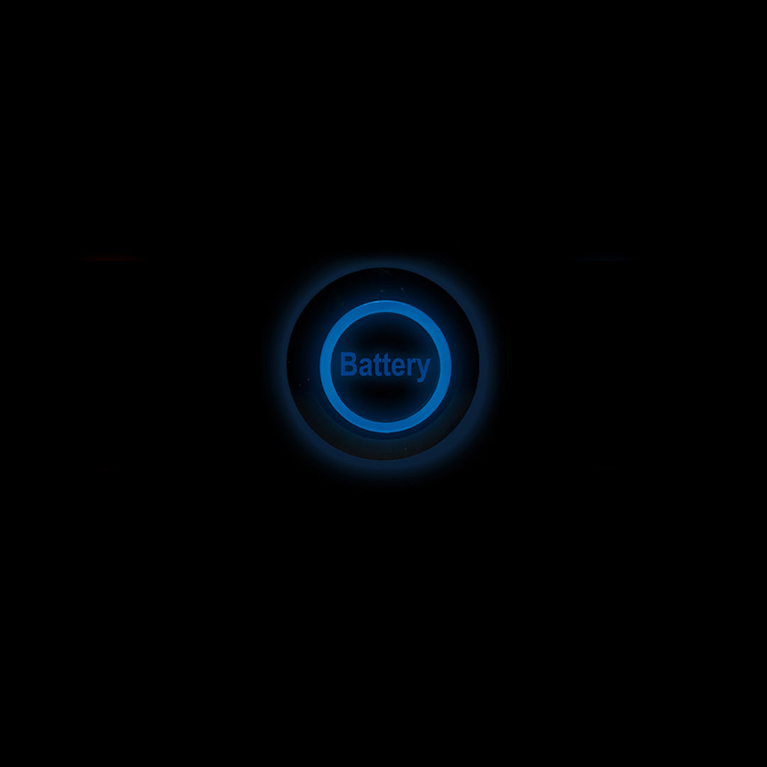 Blue pilot light for backup battery 48v